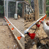 Adjustable Vreeding Equipment Export Type Drinking Bowl Poultry Drinker